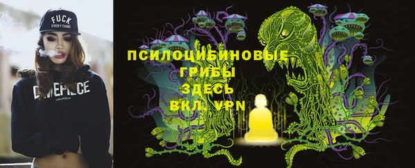винт Абинск