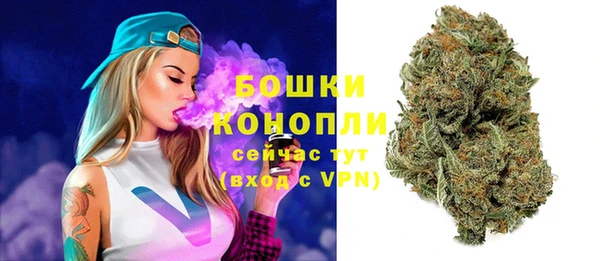 сатива Абаза