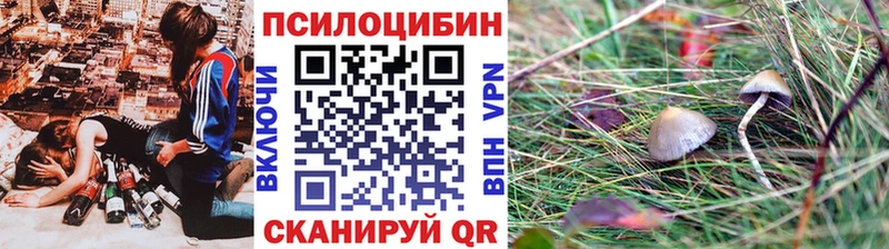 купить закладку Холмск Галлюциногенные грибы прущие грибы